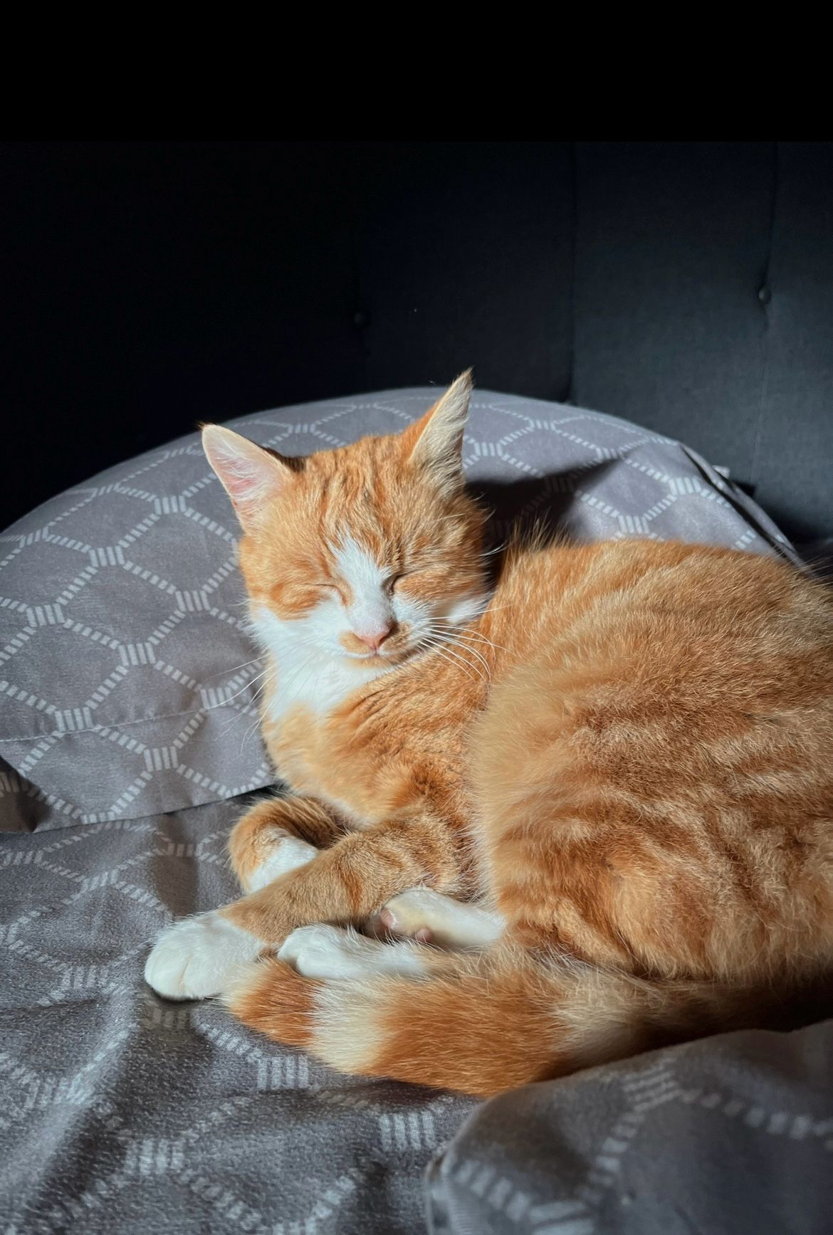 Imagine suplimentară